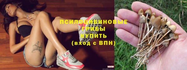 ешки Балахна